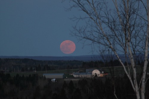 Supermoon by André Vaillancourt