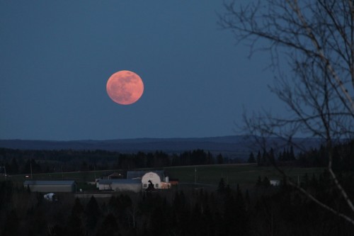 Supermoon by André Vaillancourt