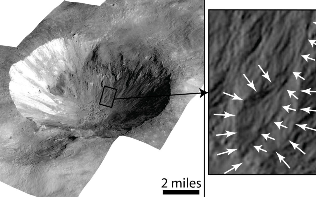 Gullies on Vesta Suggest Past Water-Mobilized Flows