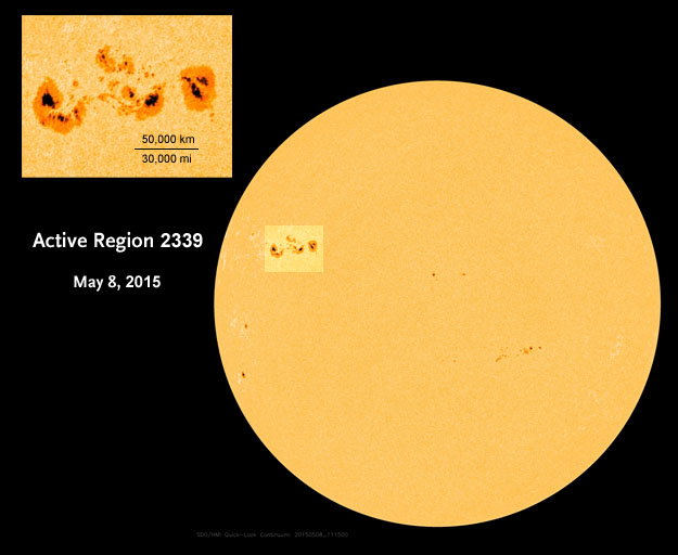 For sunwatchers who’ve been disappointed by this weak solar maximum, Active Region 2339 offers something to cheer about. –