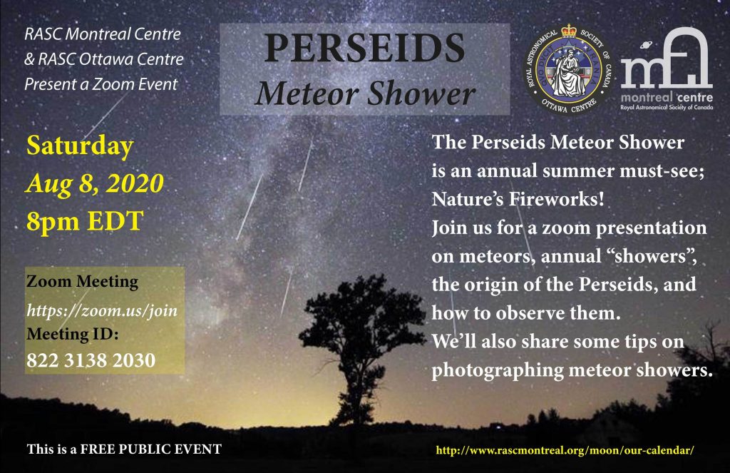 Perseids meteor shower 2020